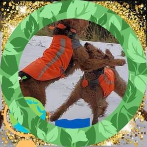 Meet your Posher, Dana